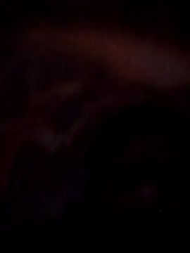 Roy   121 online show from November 23, 9:03 pm