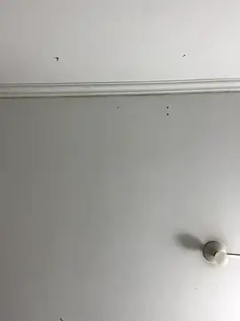 Rosa Vidal  online show from November 29, 6:55 pm