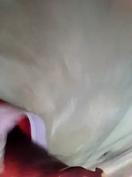 Snapshot of Minsexy66 chatting on December 2, 3:23 am Minsexy66 online show from December 2, 3:23 am