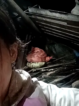 nangmo online show from November 29, 1:03 pm