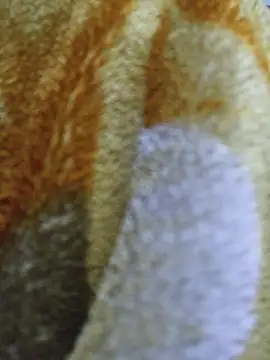 luckyutube online show from December 21, 3:30 pm