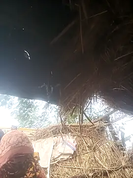 Hot srei online show from December 1, 4:17 am