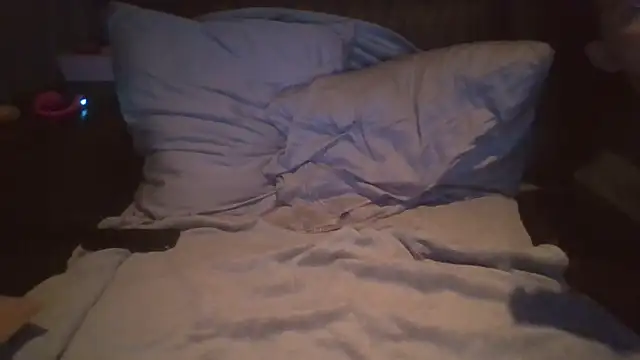 Snapshot of DeeLouLou chatting on December 20, 12:29 am DeeLouLou online show from December 20, 12:29 am