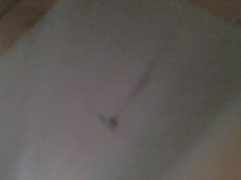 BellahG90 online show from November 22, 1:54 pm