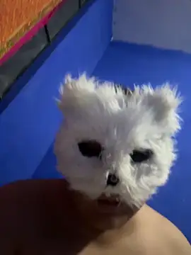 aricub online show from December 16, 12:59 am