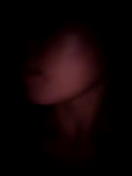 Snapshot of meganmeo chatting on November 24, 1:55 pm meganmeo online show from November 24, 1:55 pm