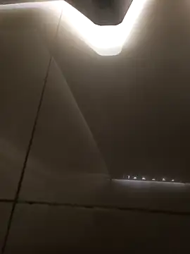 Vanhohenhein online show from November 23, 3:01 pm