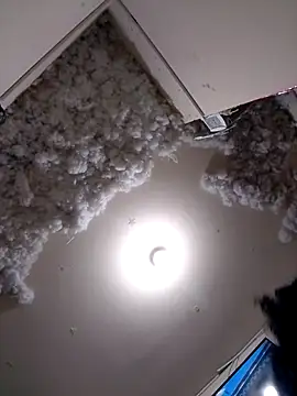 Snapshot of 4ikoou37 chatting on November 26, 10:44 pm 4ikoou37 online show from November 26, 10:44 pm