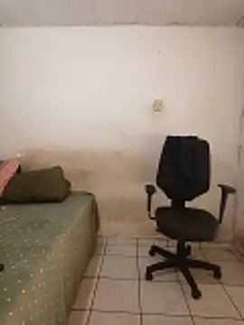 theyllorwillian online show from February 20, 1:11 pm