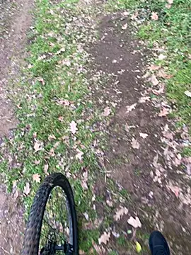 marconordic online show from February 7, 2:21 pm