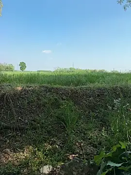 marconordic online show from April 18, 1:26 pm