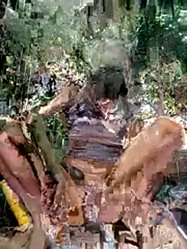 LoveDirty3x online show from December 3, 11:25 pm