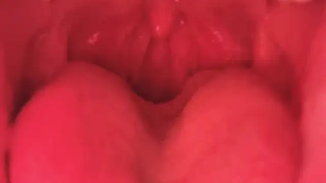 LT-333 online show from January 11, 3:50 pm