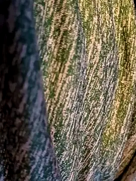 Bearclaw42069too online show from November 28, 7:16 pm