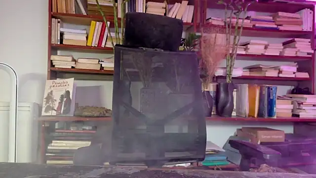 diogene11 online show from December 2, 3:07 pm