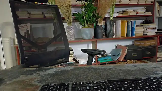 diogene11 online show from December 4, 7:28 am