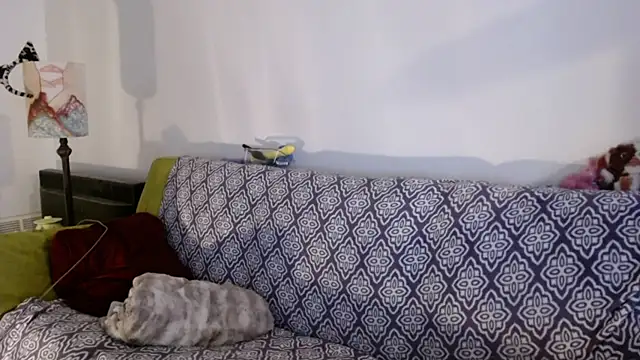 DeliaBlew online show from December 4, 3:10 pm