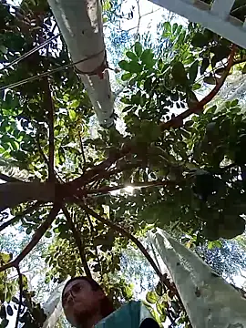 Negok1ng17cm online show from December 4, 3:21 pm