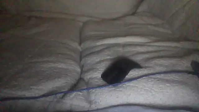 moneymaker50 online show from December 2, 4:51 am