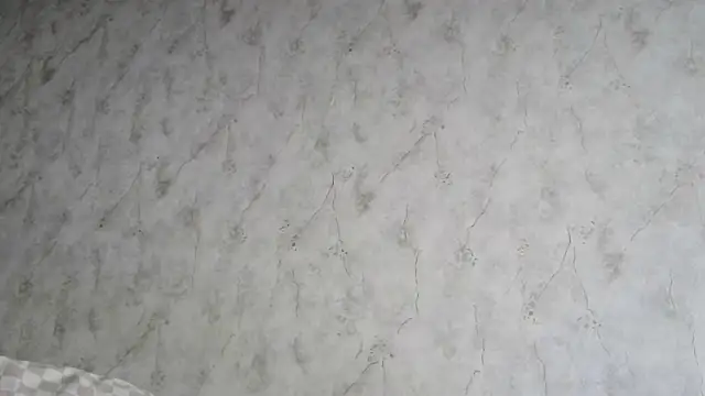 AliceWonderLure online show from December 3, 9:18 am