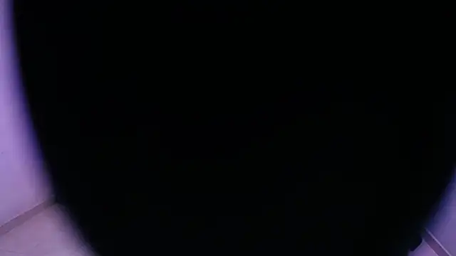 Snapshot of Sofia_tgn chatting on June 8, 6:41 pm Sofia tgn online show from June 8, 6:41 pm