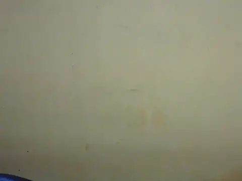 Exotic tanvi online show from February 19, 4:14 pm