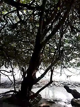 Andreskelly online show from February 13, 9:22 pm