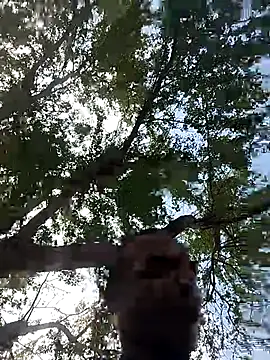 Andreskelly online show from March 17, 3:15 pm