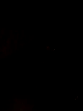 Snapshot of nehakapoor89 chatting on December 14, 7:40 pm nehakapoor89 online show from December 14, 7:40 pm