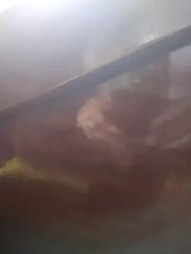 neko-nancy online show from February 13, 2:24 pm