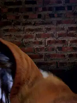 yana-zz online show from January 13, 12:27 am