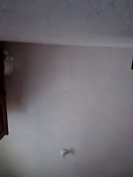 moni 1  online show from January 9, 6:49 am