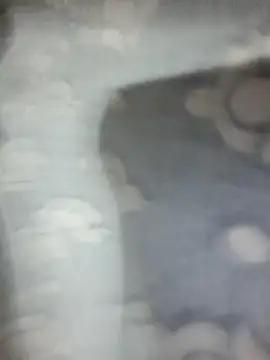 saxy bhabi 2002 online show from January 19, 12:42 pm