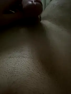 Snapshot of Tscijdick chatting on December 14, 10:53 am Tscijdick online show from December 14, 10:53 am