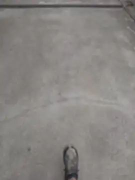 SnappedHagfish online show from June 17, 5:25 pm