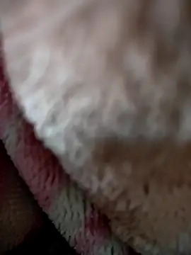 Snapshot of Hot--Kajal chatting on December 15, 8:51 am Hot--Kajal online show from December 15, 8:51 am