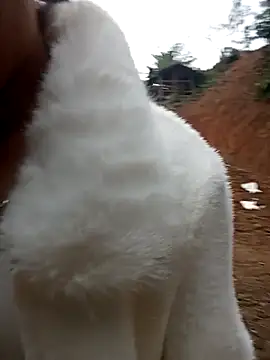 Girl cutee online show from February 1, 9:19 am