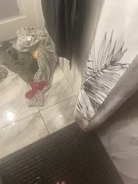 Miguel 667 online show from February 9, 11:25 am