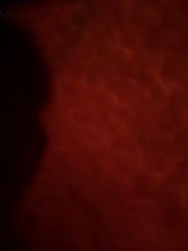 Sweetley online show from February 2, 3:22 pm