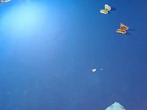 sk8-boy online show from December 18, 1:39 pm