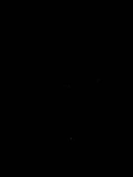 nimmi188 online show from March 10, 7:30 pm