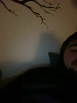 LienalWarplane online show from March 14, 2:06 am