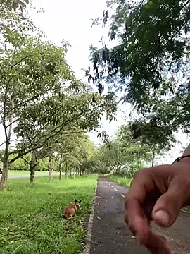 Maicol xxxx online show from March 12, 2:01 pm