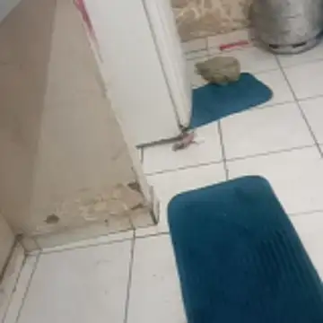 Snapshot of xxbucetudaxxx chatting on December 20, 11:17 am xxbucetudaxxx online show from December 20, 11:17 am