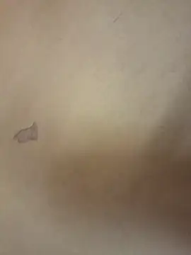 yourburget online show from February 19, 2:24 pm