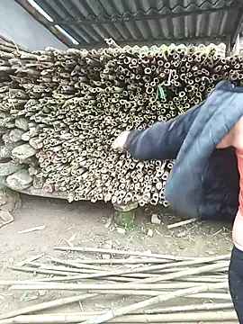 yeutinh00 online show from March 14, 5:13 am