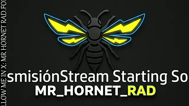 Snapshot of s_hornet chatting on May 18, 11:21 pm s hornet online show from May 18, 11:21 pm