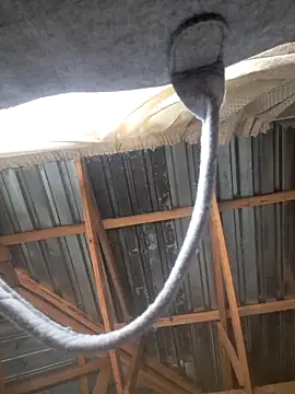 Snapshot of Sihle_Plays chatting on March 7, 11:40 am Sihle Plays online show from March 7, 11:40 am