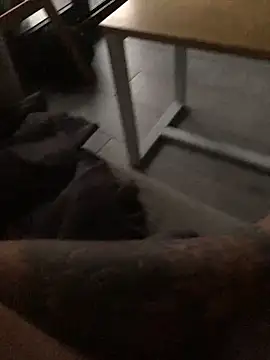 psilocibina22 online show from February 20, 9:21 am