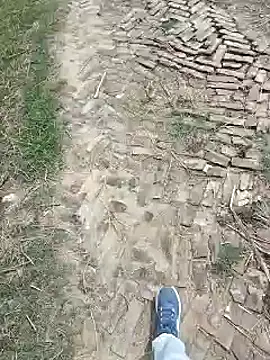 Pagelboy 089 online show from March 27, 8:20 am